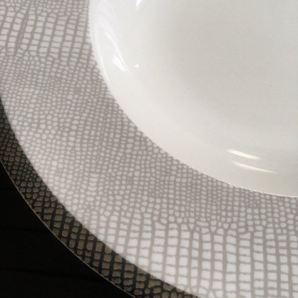 brand new Mikasa Wild Croc Pattern 15" x 13" Porcelain Oval Serving Platter - Picture 6 of 12